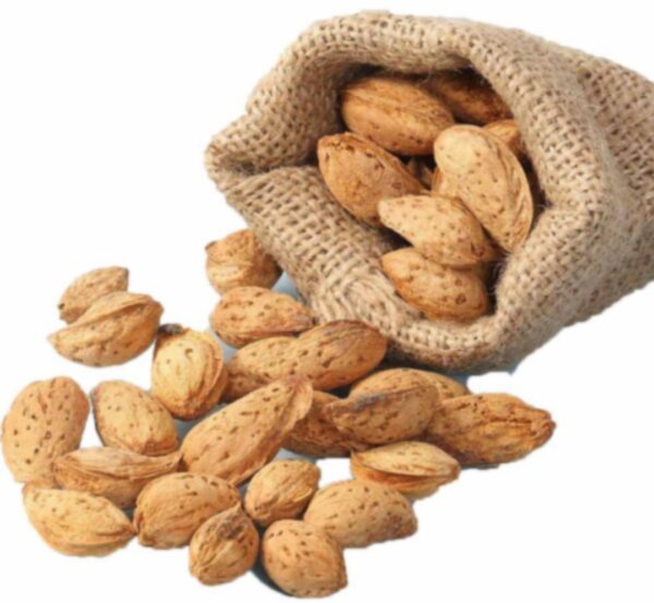 Whole Almonds ( Abdul Wadi ) 250g | Sabut Badam ( Abdul Wadi ) 250g | Best & Premium Quality Badams with peel - Image 3