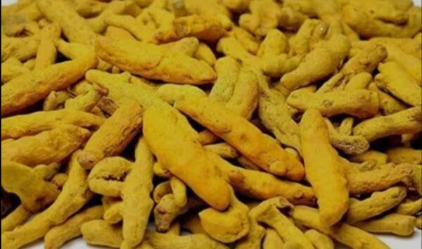 Dry Turmeric / haldi sabit 250g - Image 4