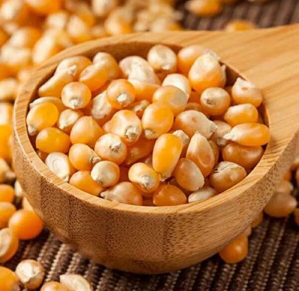 popcorn 1000g / 1kg