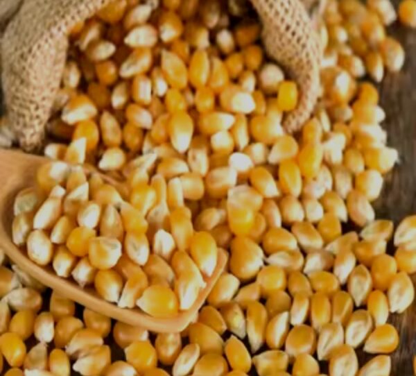 popcorn 1000g / 1kg - Image 3