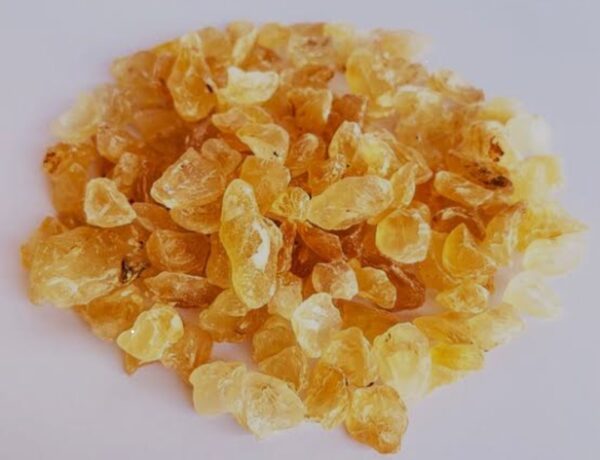 Gond Katira \ Gondh Katera | 100g (100 Grams) - Image 3
