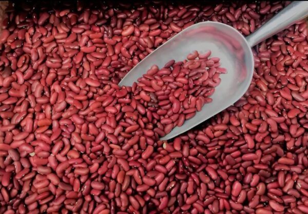 Capsule Lobia | 500g - Image 4
