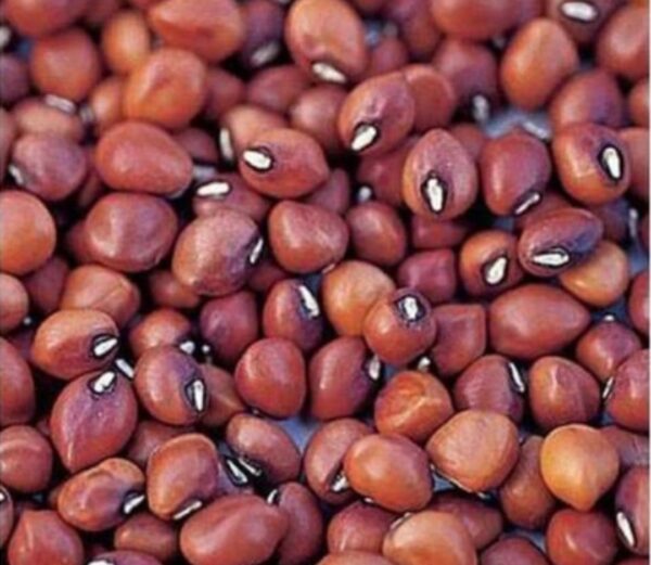 Dal Mash | Desi Dal Mash | 500g - Image 2