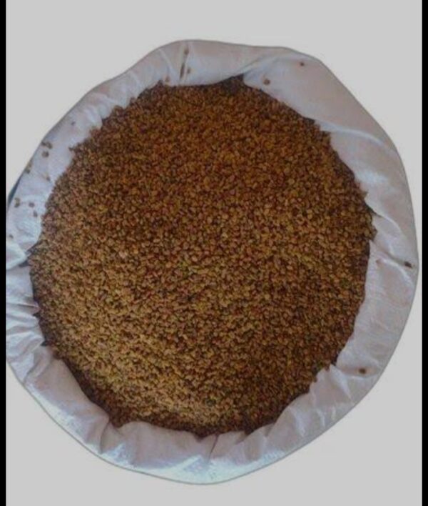 methi dana 250g - Image 3