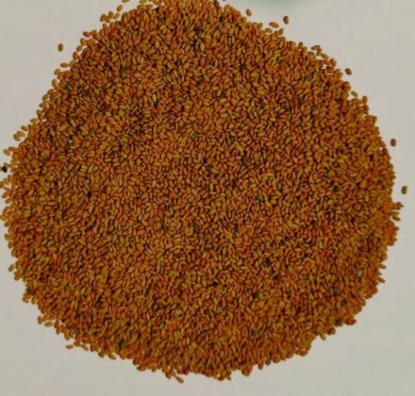 methi dana 250g - Image 4