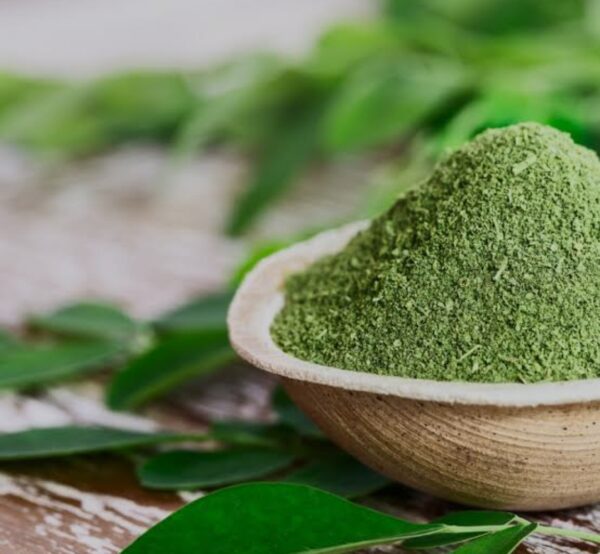 moringa powder / 100g - Image 2