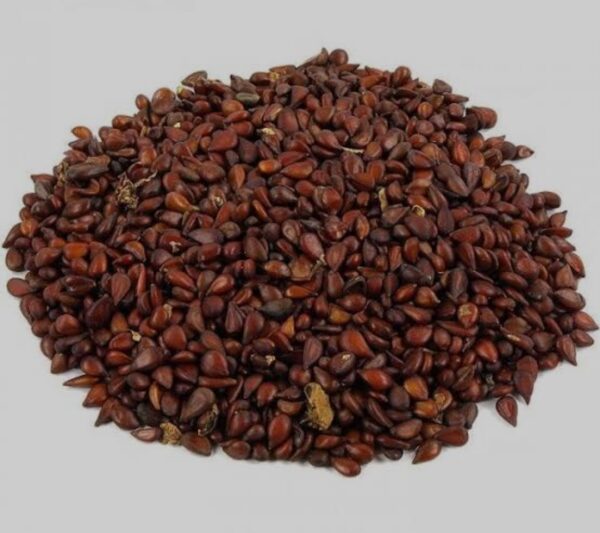 Beeh Dana - Bahi Dana | Quince Fruit Seeds ( بہی دانہ) - 20 Grams - Image 2