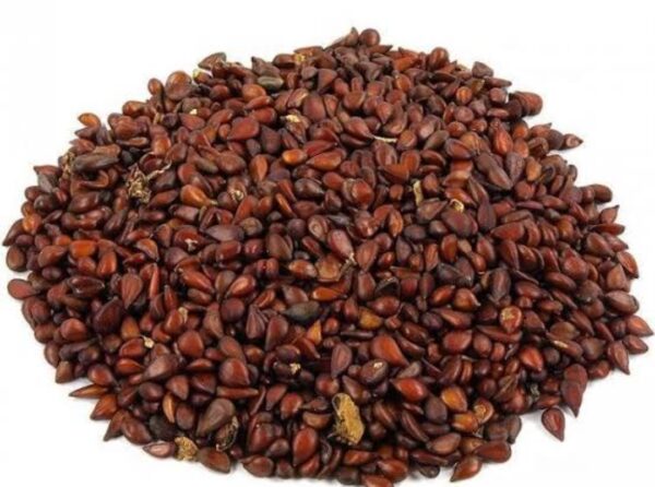 Beeh Dana - Bahi Dana | Quince Fruit Seeds ( بہی دانہ) - 20 Grams - Image 4