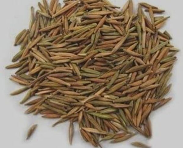 INDAR JO TALAKH - KARWAY JO 10 GRAMS HIGH QUALITY - Image 5