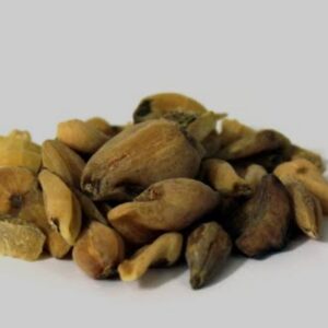 Suranjan Talakh 10gm - Crocus Bitter - 100% Original, Fresh and Pure Soranjan / Suranja / Soranja Talkh / Karwa 10 grams by Herbisol