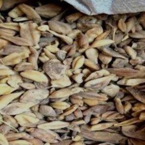 Suranjan Talakh 10gm - Crocus Bitter - 100% Original, Fresh and Pure Soranjan / Suranja / Soranja Talkh / Karwa 10 grams by Herbisol