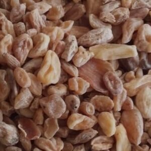 Salab misri | Salam misri | misri | 10 Gram