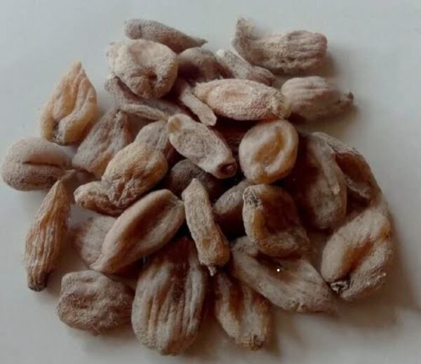 Salab misri | Salam misri | misri | 10 Gram