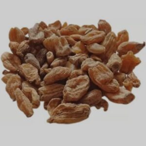 Salab misri | Salam misri | misri | 10 Gram