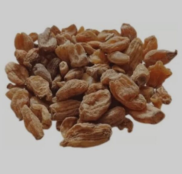 Salab misri | Salam misri | misri | 10 Gram - Image 4