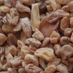 Salab misri | Salam misri | misri | 10 Gram