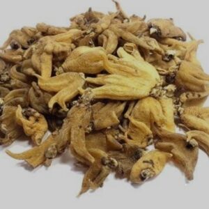 Organic Salab panja 10g | saleb panja | salib punja | salib panja | salab panga | salab panjang 10 gram
