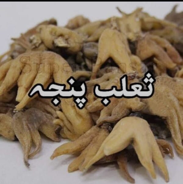 Organic Salab panja 10g | saleb panja | salib punja | salib panja | salab panga | salab panjang 10 gram
