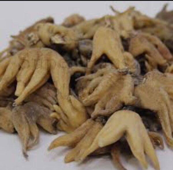 Organic Salab panja 10g | saleb panja | salib punja | salib panja | salab panga | salab panjang 10 gram - Image 5