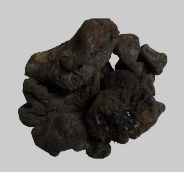 Gond Mochras | Silk Cotton Tree Gum| 20gm | گوند موچرس - Image 3