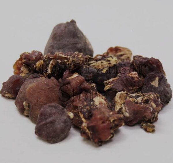 Gond Mochras | Silk Cotton Tree Gum| 20gm | گوند موچرس - Image 5