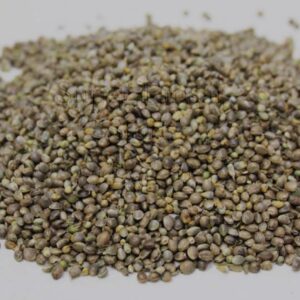 Organic Hemp Seed Bhang Seed Tukhum Qinab for Birds - 10g