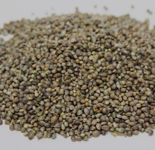 Organic Hemp Seed Bhang Seed Tukhum Qinab for Birds - 10g - Image 4
