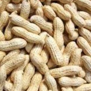 Organic Bites Groundnut With Shell, Raw Peanut, Sabut Mungfali 400g