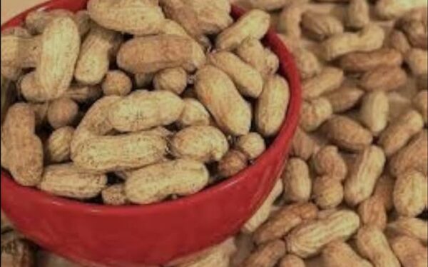 Organic Bites Groundnut With Shell, Raw Peanut, Sabut Mungfali 400g - Image 3