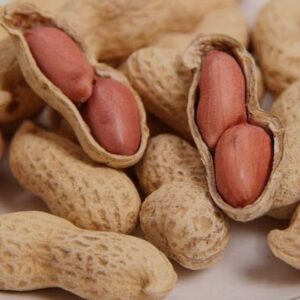 Organic Bites Groundnut With Shell, Raw Peanut, Sabut Mungfali 400g