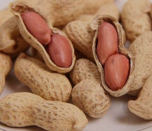 Organic Bites Groundnut With Shell, Raw Peanut, Sabut Mungfali 400g - Image 5