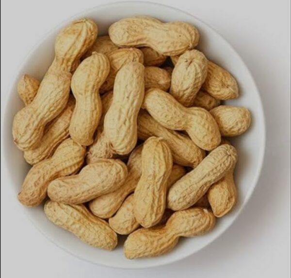 special parachinar Peanuts (parachinar Mungfali , Groundnut)Seeds - For Home Kitchen Gardening - Image 2