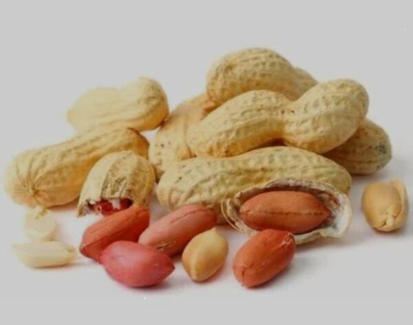 special parachinar Peanuts (parachinar Mungfali , Groundnut)Seeds - For Home Kitchen Gardening - Image 3
