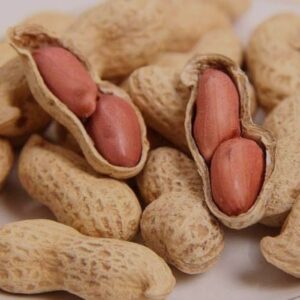 special parachinar Peanuts (parachinar Mungfali , Groundnut)Seeds - For Home Kitchen Gardening