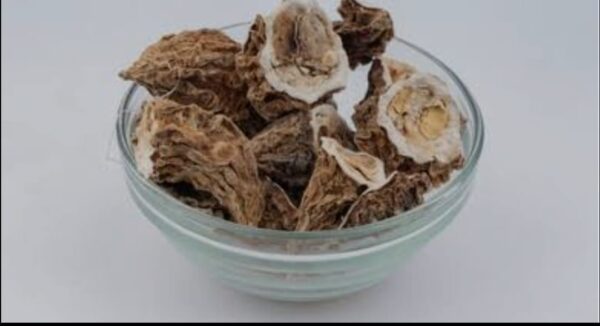 Karela Dry 50gm - Bitter Groud Dried - Khushk Karelay / Karailay 100% Original - Image 3