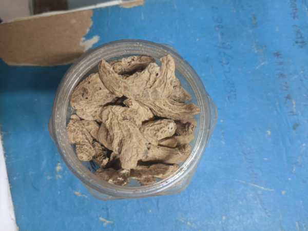 kunjan boti / 10g